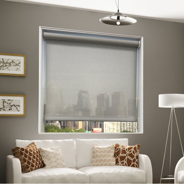 Harbor Shades Sheer Warm Gray Roller Shade & Reviews Wayfair